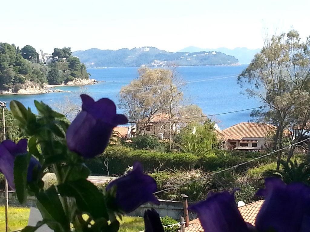 Tzaneria Apartments Skiathos Kanapitsa  Luaran gambar
