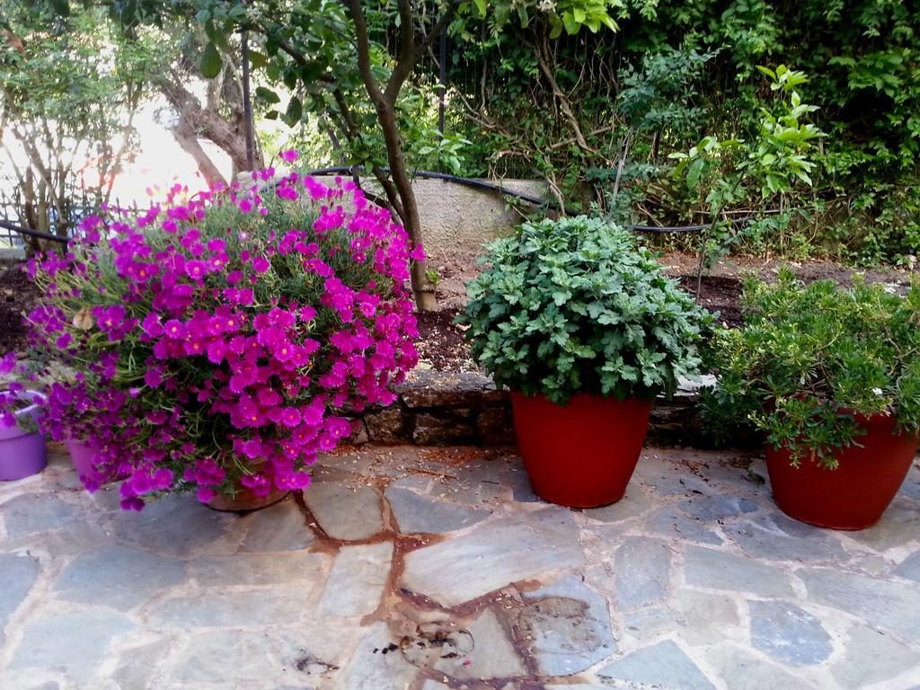 Tzaneria Apartments Skiathos Kanapitsa  Luaran gambar